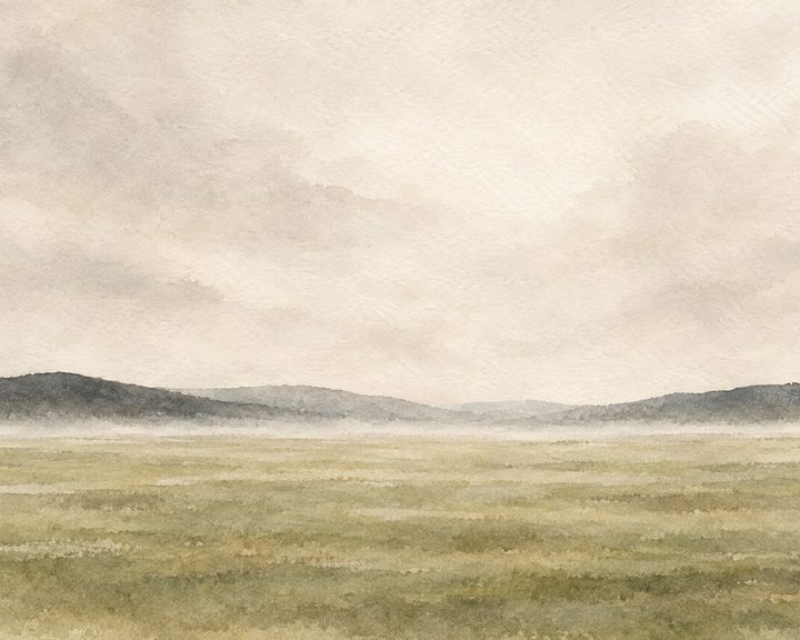 Minimal pale landscape of a misty field under a white sky